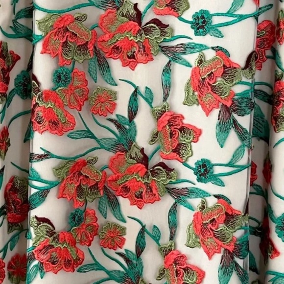 Formal Sleeveless Embroidered Dress by Laura Size Medium Like New - Picture 6 of 7